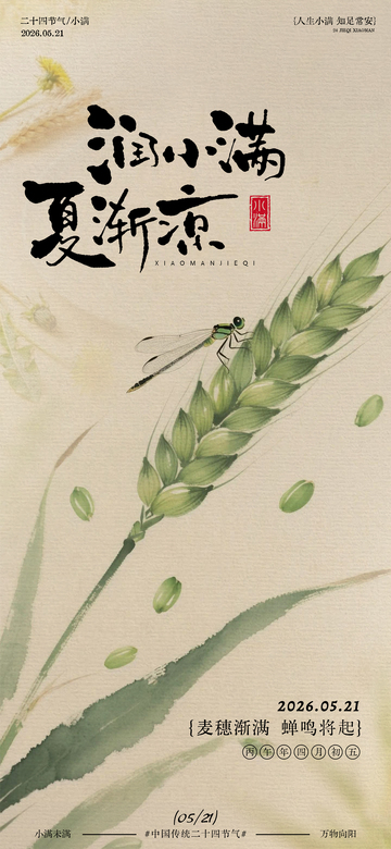 水墨风小满节气麦穗插画海报