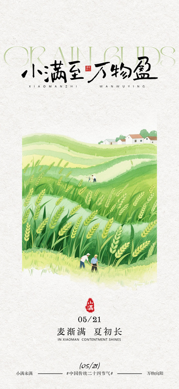 小满节气田园风光插画海报