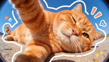 橘猫悠闲生活卡通风格创意涂鸦风