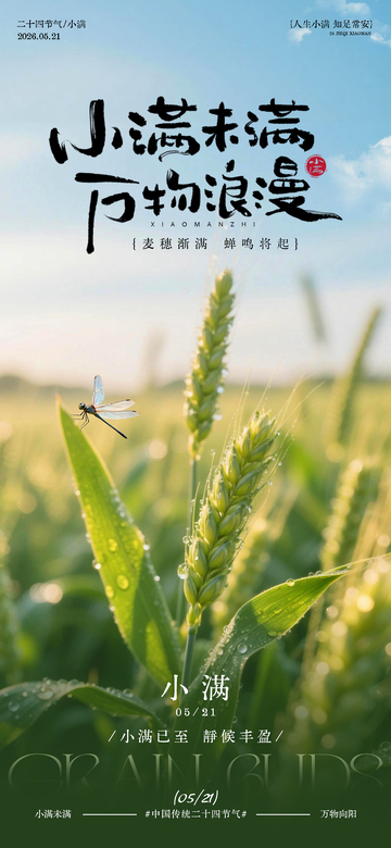 小满节气麦田海报