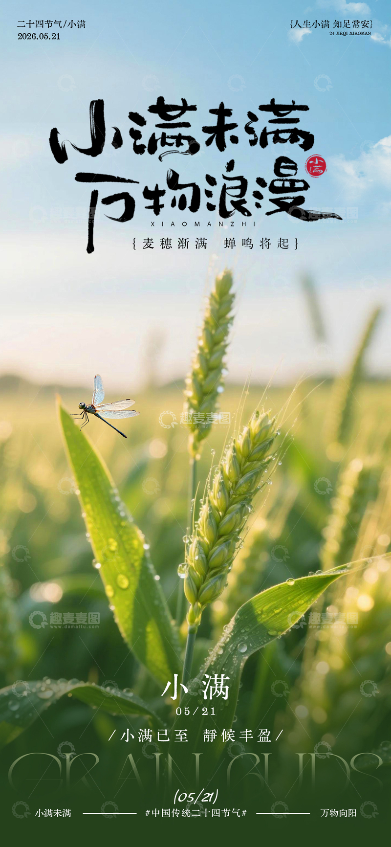 源文件下载【趣麦麦图】小满节气麦田海报