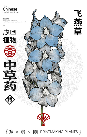飞燕草中草药植物线稿版画线稿海报