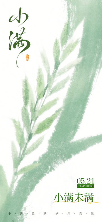 水墨风小满节气植物插画海报