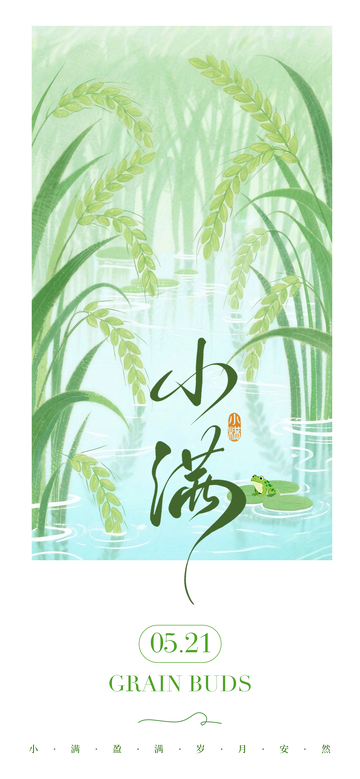 水墨风小满节气稻田青蛙插画