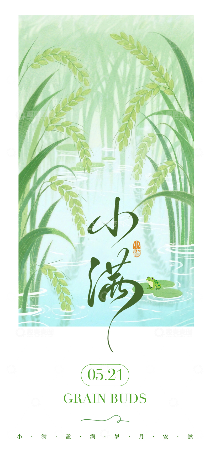 源文件下载【趣麦麦图】-水墨风小满节气稻田青蛙插画