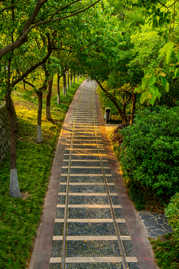 长滩滨江公园林间小铁路风景摄影