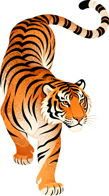 矢量插画寅虎全身