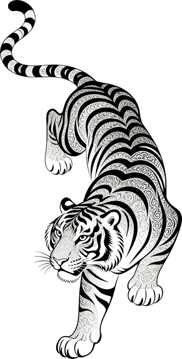 矢量插画寅虎全身3