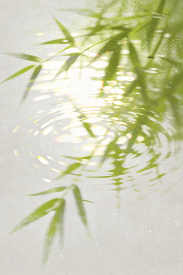 颗粒感插画水边的竹叶倒影1