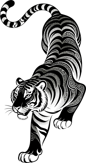 矢量插画寅虎全身4
