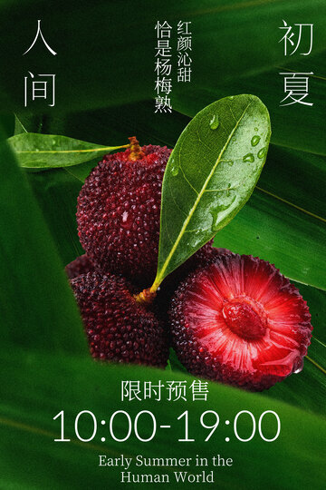 初夏新鲜杨梅诱人上市海报