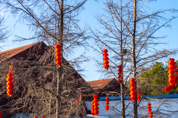 武夷山景区春节冬日节庆红灯笼风景