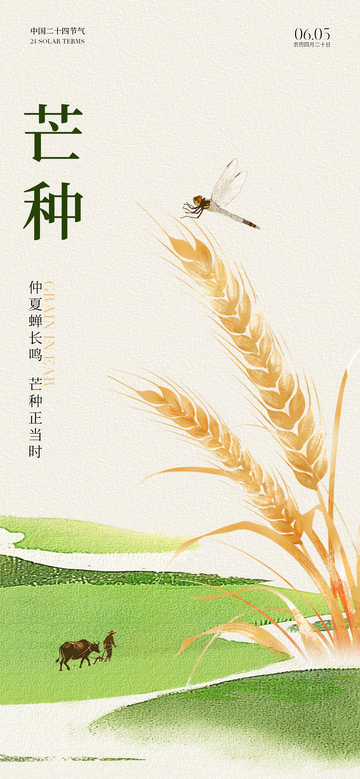 芒种节气麦穗田园水彩画