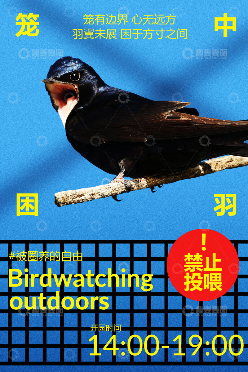 源文件下载【趣麦麦图】笼中困羽观赏飞鸟活动海报