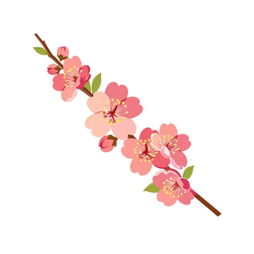 粉色花海绽放生命奇迹