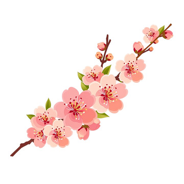 春风拂面桃花绽放奇观