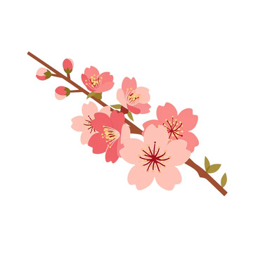粉色花海中的微妙韵律