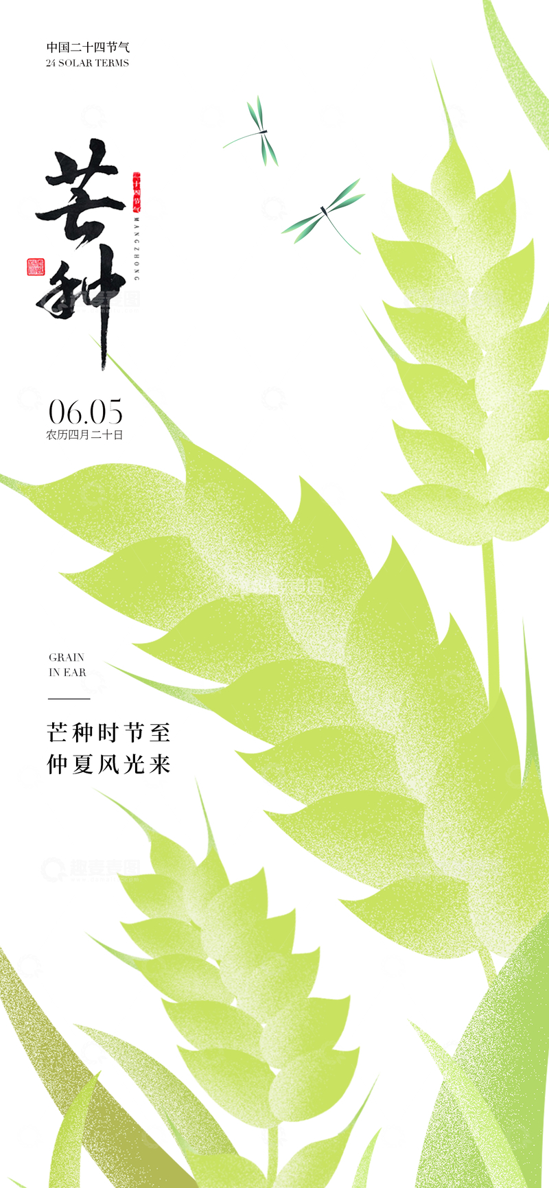 源文件下载【趣麦麦图】-绿色水墨风芒种节气宣传海报
