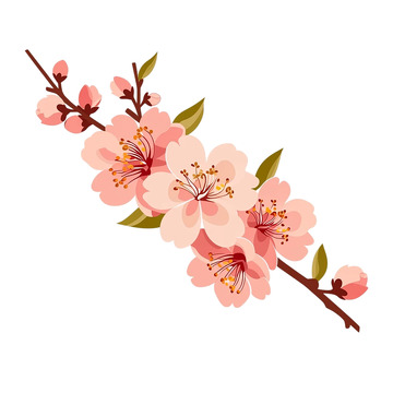 粉色花海梦幻绽放