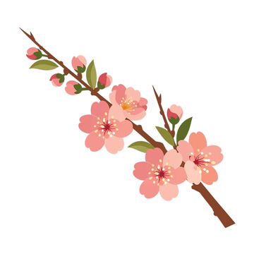 初春桃花柔美绽放