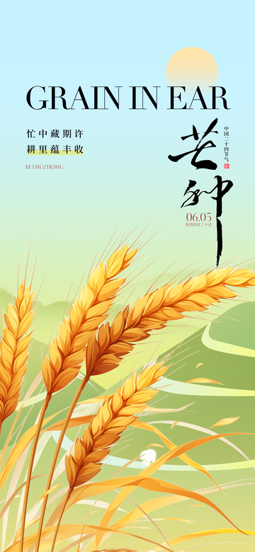 芒种节气麦穗插画海报