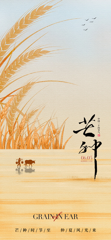 芒种节气田园风光海报