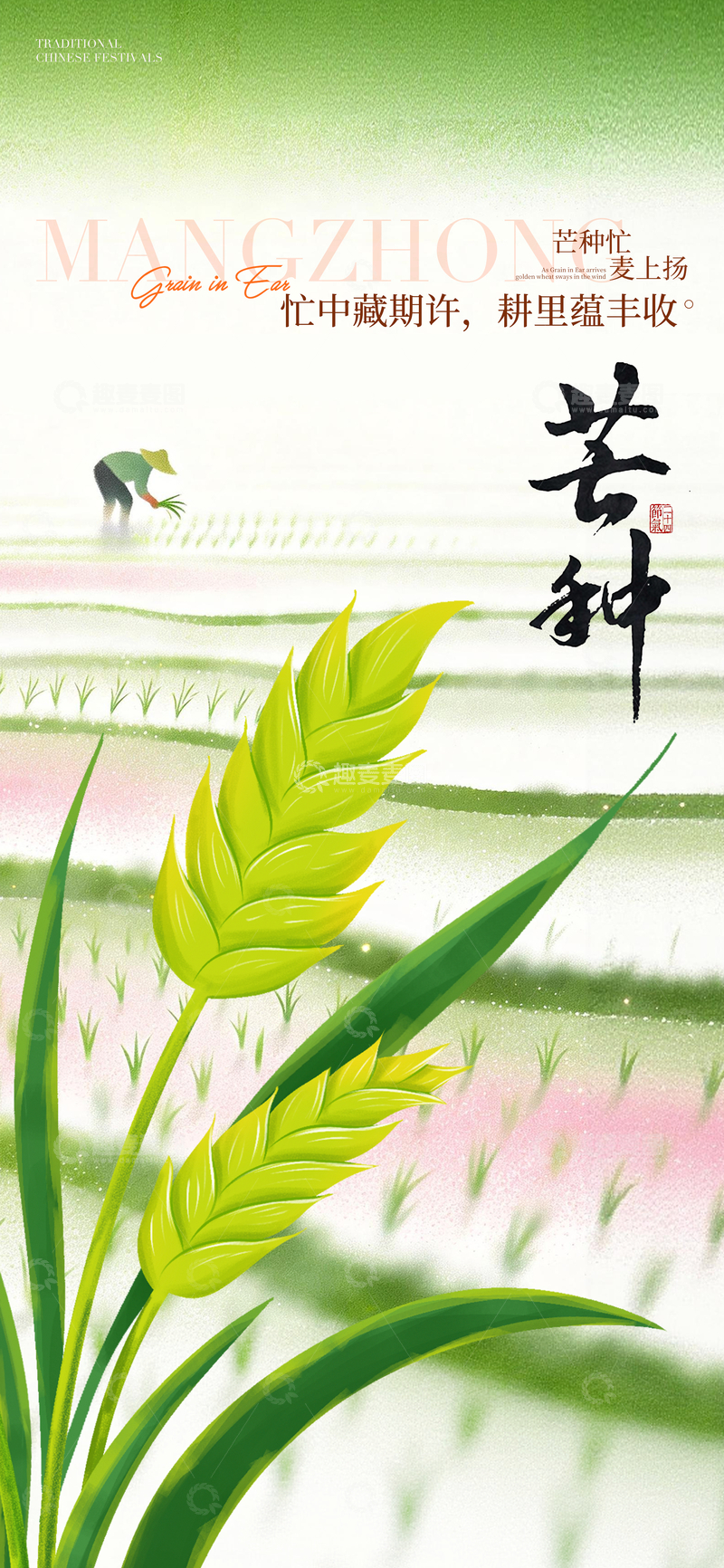 源文件下载【趣麦麦图】-芒种节气稻田插画海报