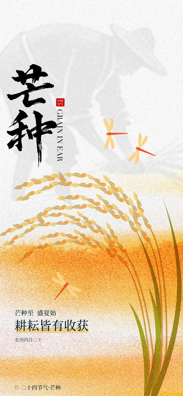 水墨风芒种节气稻田海报