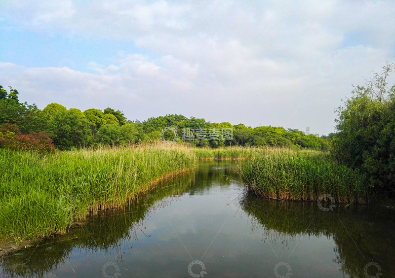 高清大图下载【趣麦麦图】蓝天白云湿地风光自然景致