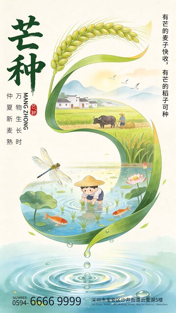 芒种节气麦穗海报