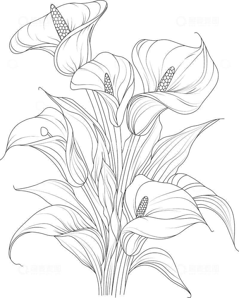 源文件下载【趣麦麦图】-黑白百合花束工笔画
