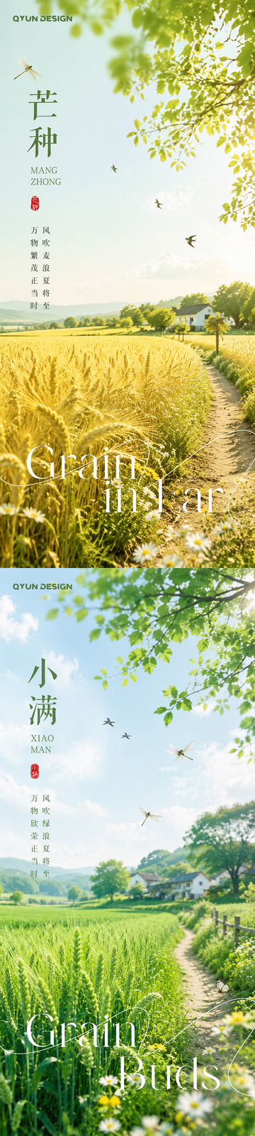 小满芒种节气海报