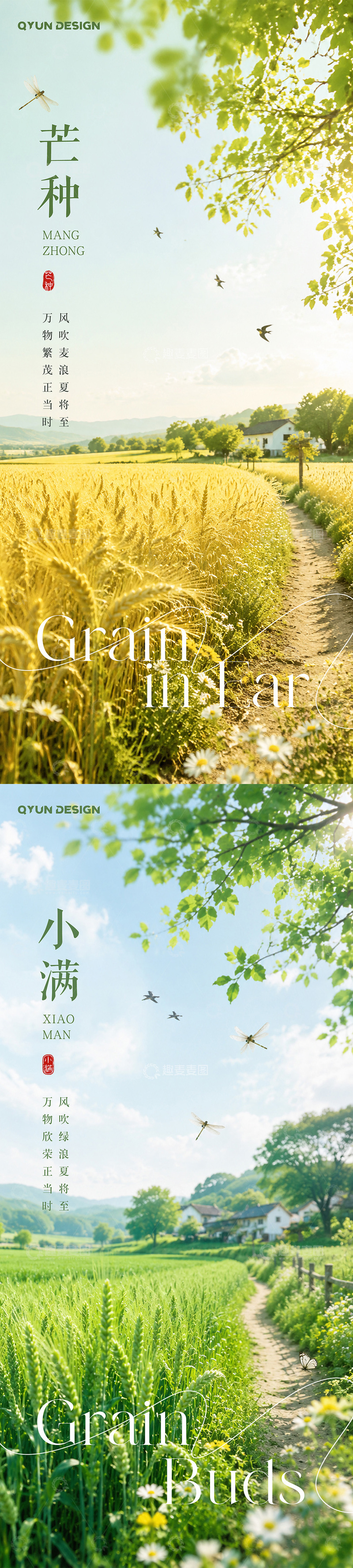 源文件下载【趣麦麦图】-小满芒种节气海报