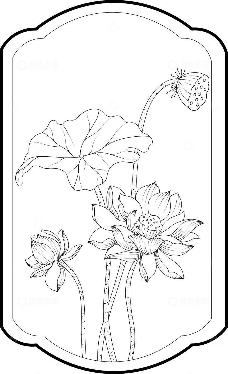 源文件下载【趣麦麦图】荷花线稿工笔画