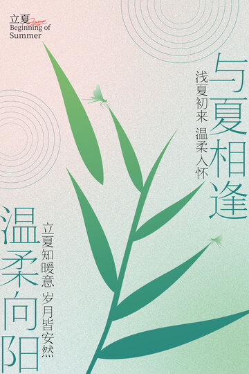 温柔向阳与夏相逢立夏节气海报
