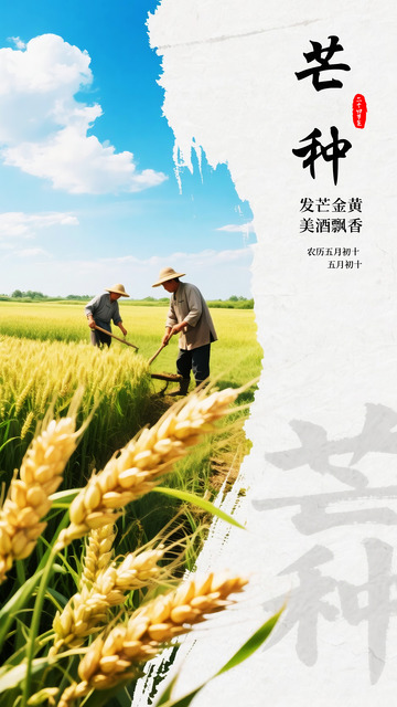 田园风芒种耕作摄影海报