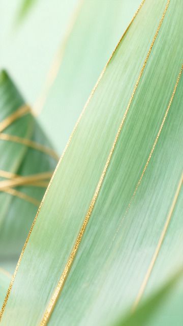 绿色粽子叶片金线特写摄影背景