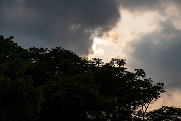 夕阳落日森林光影变幻自然景观