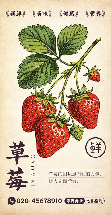 水果插画草莓设计素材