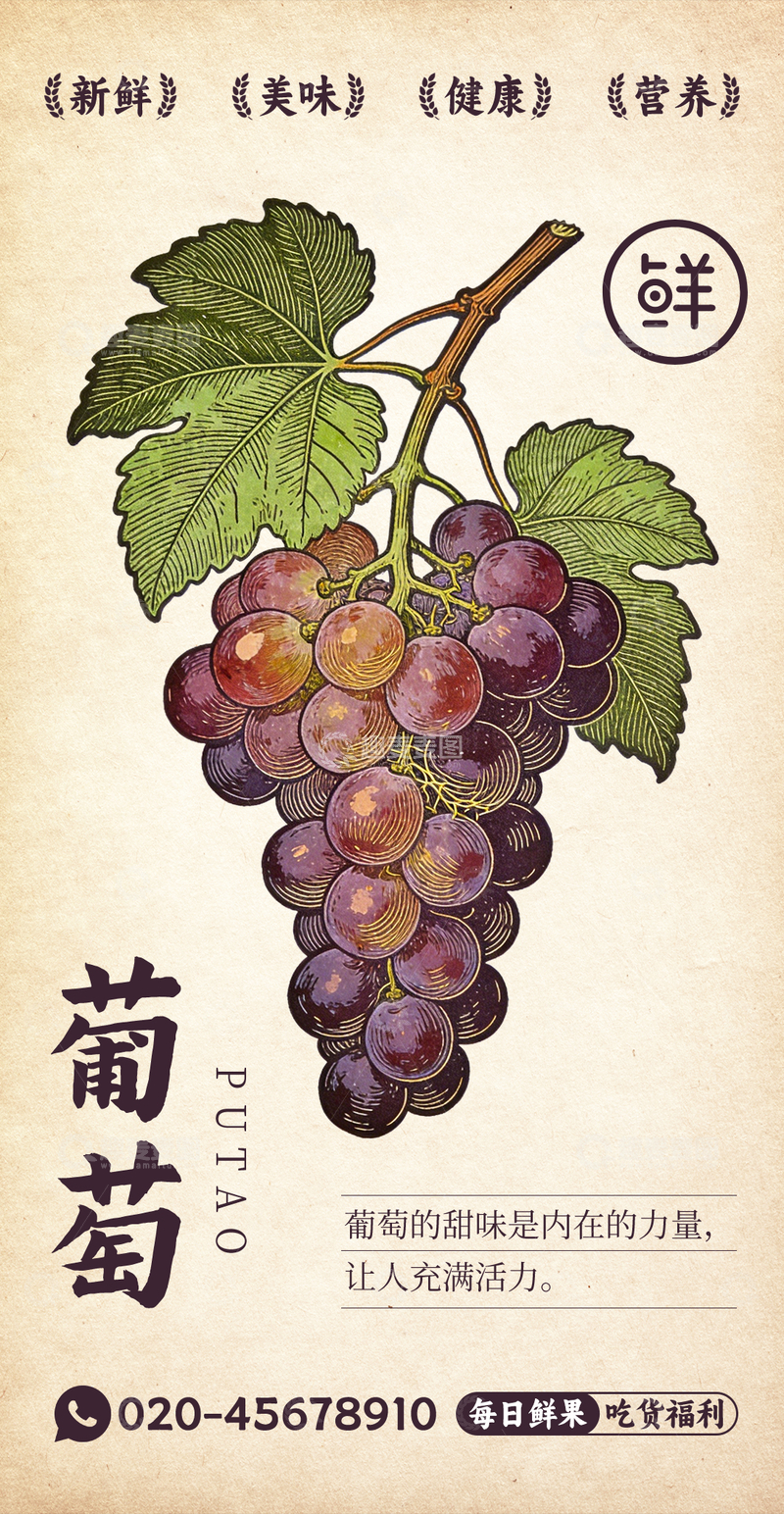 源文件下载【趣麦麦图】水果插画葡萄设计素材
