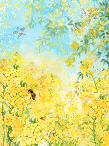 春日蜂舞油菜花