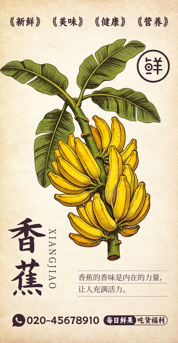 水果插画香蕉设计素材