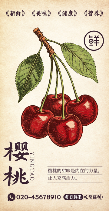 水果插画樱桃设计素材