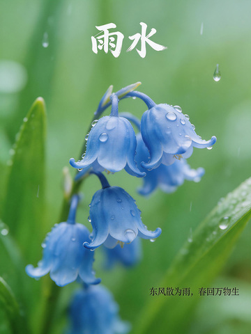 朦胧的绿色背景