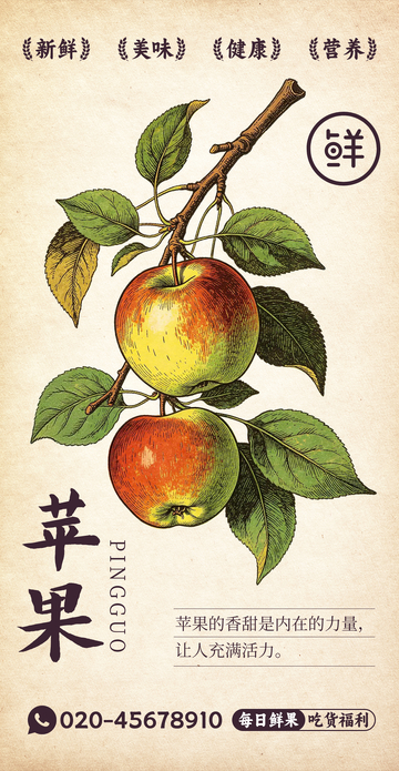 水果插画苹果设计素材