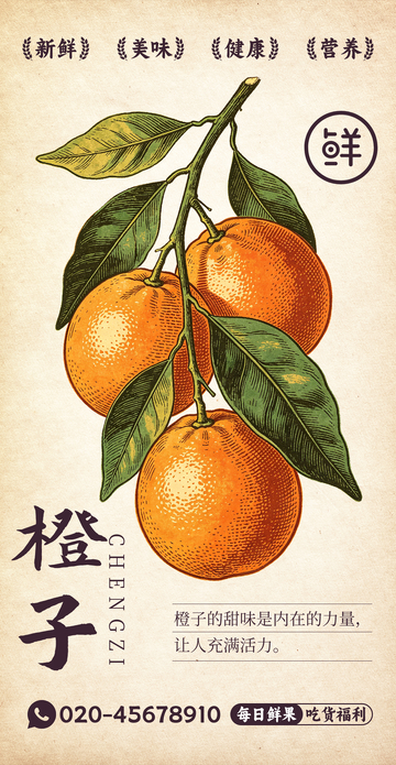 水果插画橙子设计素材