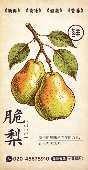 水果插画梨子设计素材