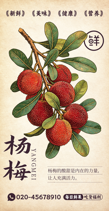 水果插画杨梅设计素材