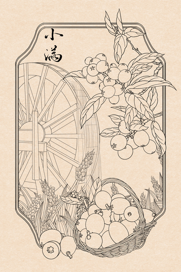 线描风小满节气枇杷水果稻穗装饰画