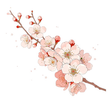 春日杏花纷飞如梦
